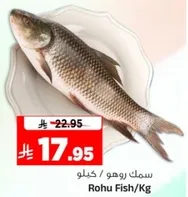 سمك روهو / كيلوا