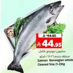 سلمون نرويجي كامل حجم (1-2) كيلوا