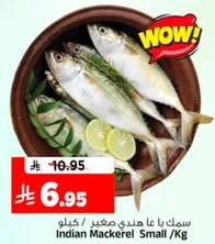 سمك با غا هندي صغير /كغ