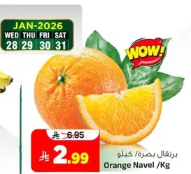 برتقال بصره