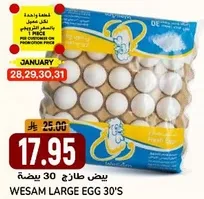 WESAM LARGE EGG 30'S