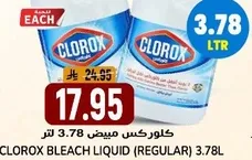 Clorox Bleach Liquid (Regular) 3.78L