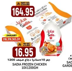 دجاج مجمد ساديا 10×1200 جرام