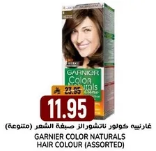 Garnier Color Naturals Hair Colour (Assorted)