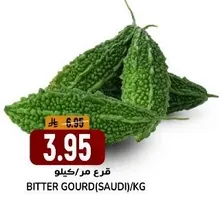 قرع مر (سعودي)