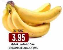 موز (اكوادور)/كيلو