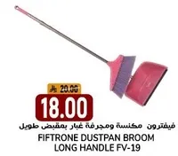 مكنسه ومجرفه غبار بمقبض طويل.