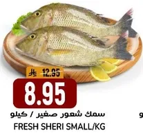 Fresh Sheri small fish sold by kilogram.