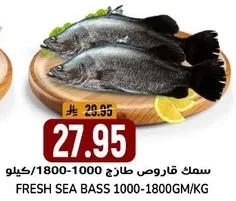 Fresh Sea Bass 1000-1800GM/KG