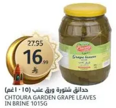 Chtoura Garden Grape Leaves in Brine 1015g