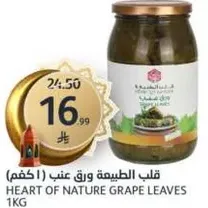 Heart of Nature Grape Leaves 1kg