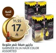 جارنييه صبغه شعر متنوعه