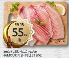 هامور فيليه طازج (كغم)