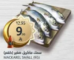 سمك ماكريل صغير (كغم)