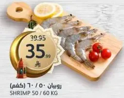 Shrimp 50/60 kg