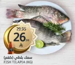 سمك بلطي (كجم)