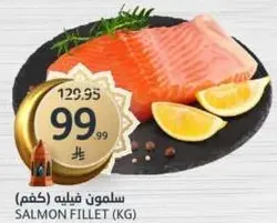سلمون فيليه (كغم)