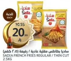 بطاطس عاديه / رفيعه 2.5 كغ