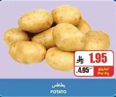 Potato