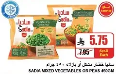 ساديه خضار مختلط او بازلاء 450 جرام.