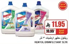 Rentol Disinfectant 3L