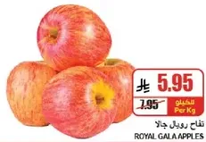 تفاح رويال جالا