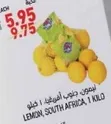 Lemon, South Africa, 1 kilo