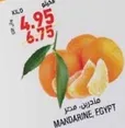 mandarins من مصر