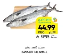 سمك كناعد صغير