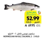 سلمون نرويجي كامل، 2 - 3 كيلو