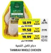 دجاج كامل. التنميه