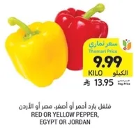 فلفل بارد احمر او اصفر، مصر او الاردن.