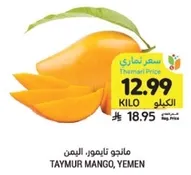 مانجو تامور، اليمن
