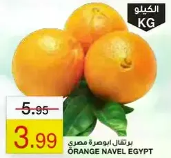 برتقال ابو صره مصري