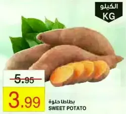 Sweet Potato
