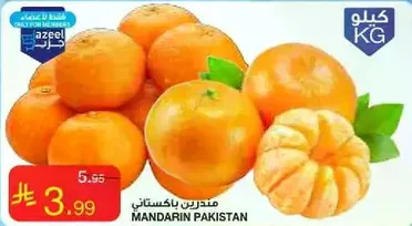 Pakistani Mandarin
