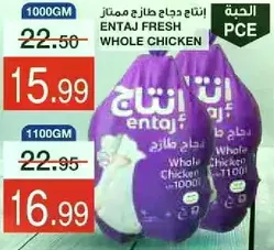 انتاج دجاج طازج متميز