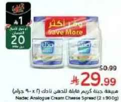 Nastec Analogue Cream Cheese Spread (2 x 900g)