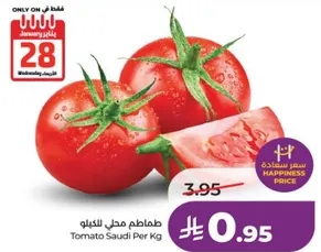 طماطم محلي للكيلو