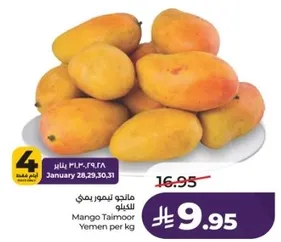 منتج ليمور يمني