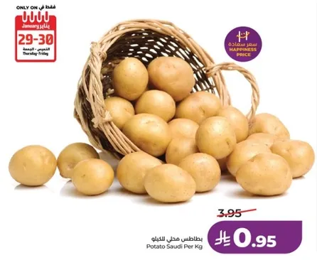 بطاطس سعودي للكيلو