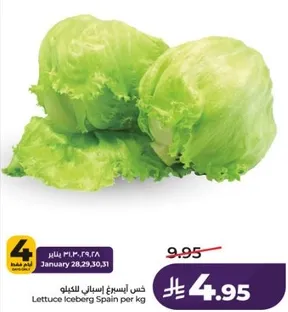 Lettuce Iceberg Spain per kg