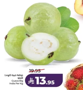 جوافه كبيره (الهند)