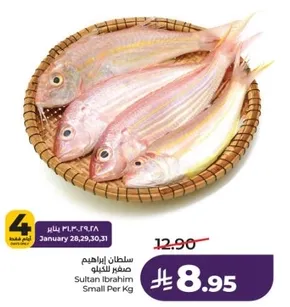 سلطان ابراهيم صغار للكيلو