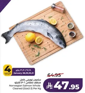 سلمون نرويجي كامل منظف (مقاس 2-3) لكل كيلوجرام