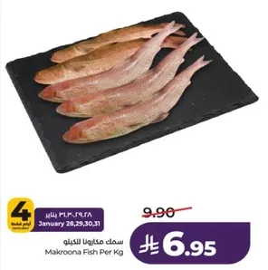 سمك مكرونه للكيلو