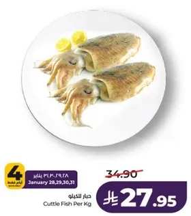 حبار الكيلو