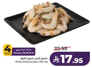 جمبري الابيض (بحري) للكيلو