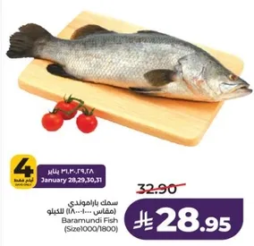 Baramundi Fish (Size 1000/1800)