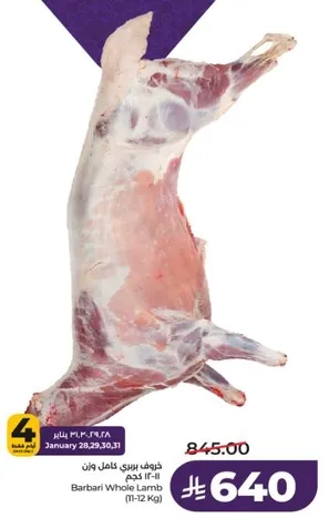 لحم بارباري كامل (12 كجم)